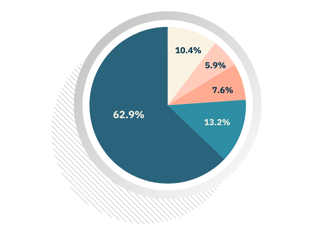 Digital Marketing Services - NZ Advertising 2023 Graph